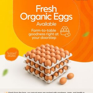 Farm Fresh Eggs