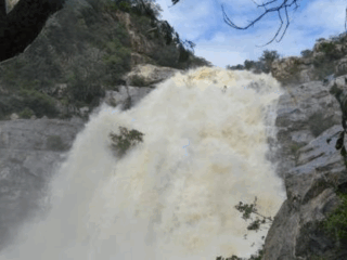 screenshot 2025 11 22 125322