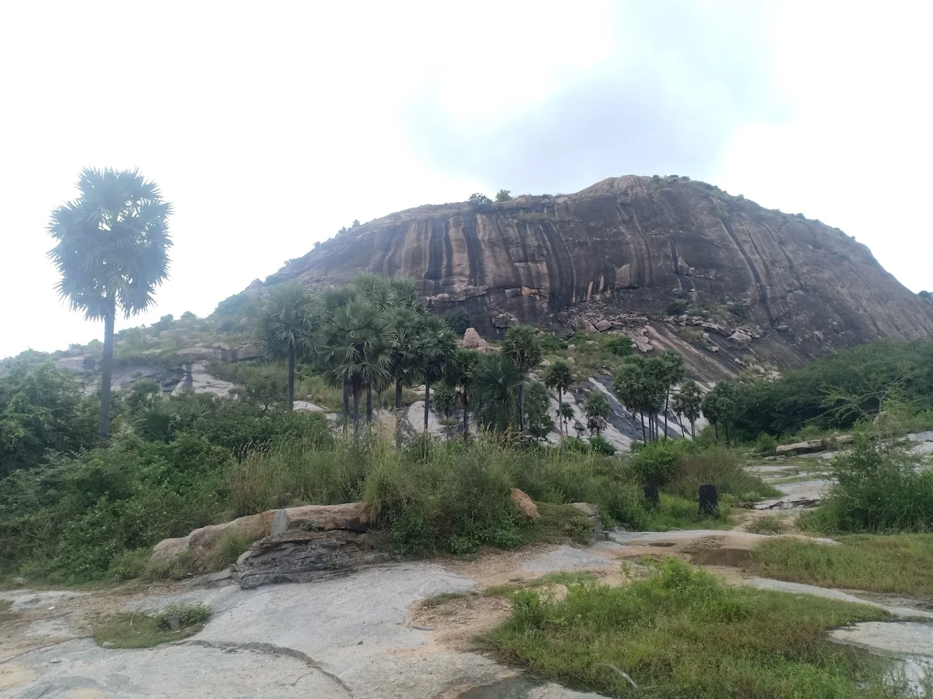 Chittoor Elephant Hill