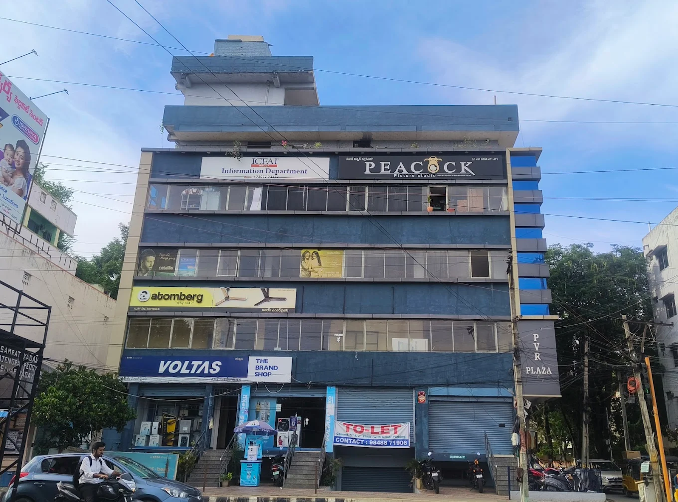 PEACOCK PICTURE STUDIO