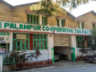 facade-palampur-cooperative-tea-factory-co-operative-253133281