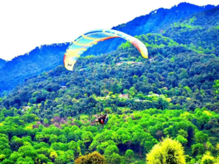 paragliding-in-Bir-Billing-1